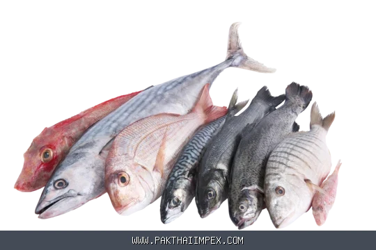 Frozen Seafood